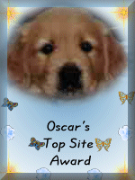 Oscar Award for WebPage Excellence